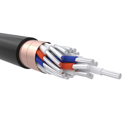 Кабель АКВВГЭ 10х6,0